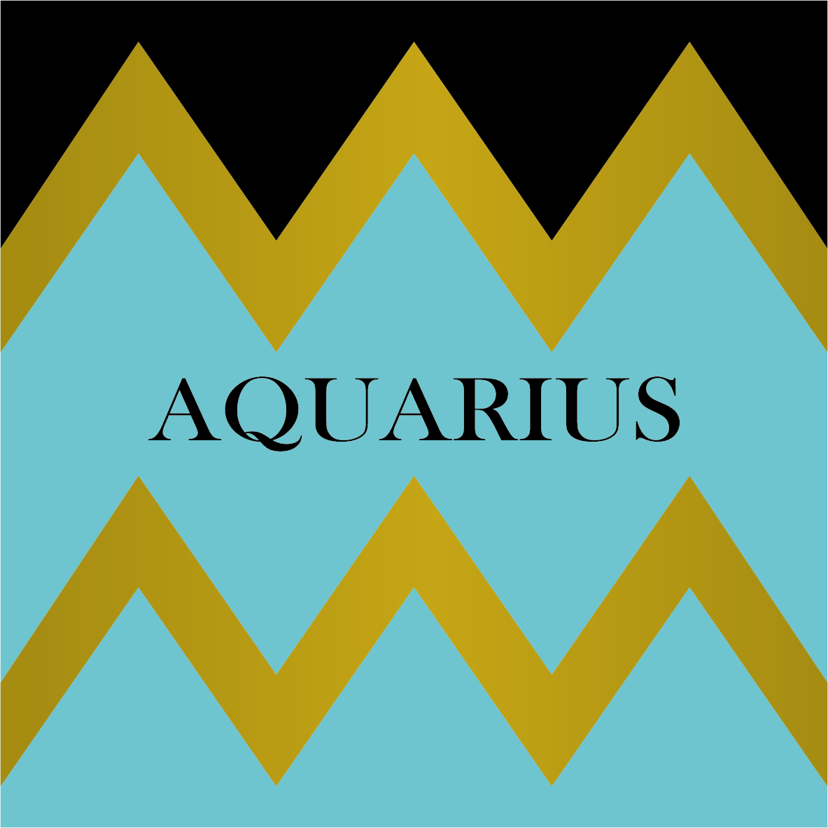 Hotel Aquarius Venice