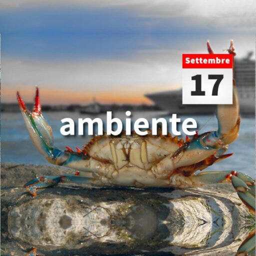 2021/09/17 – Alieni in laguna