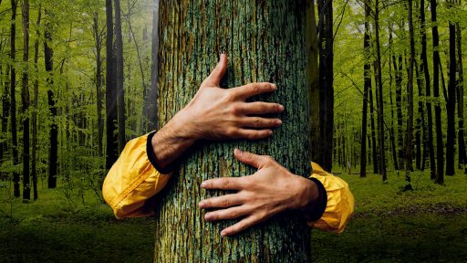 2021/06/15 – Ecosfide
